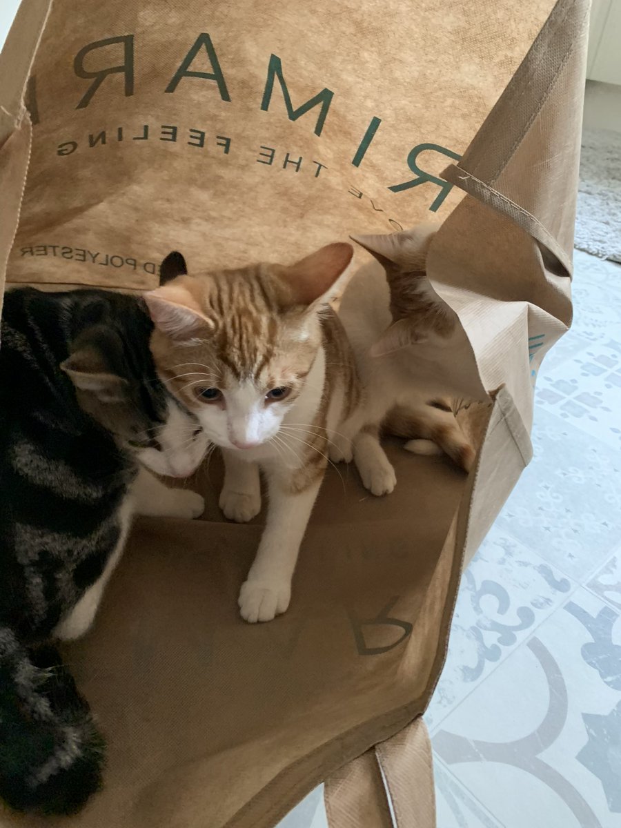 The Fylde Blackpool tweet media