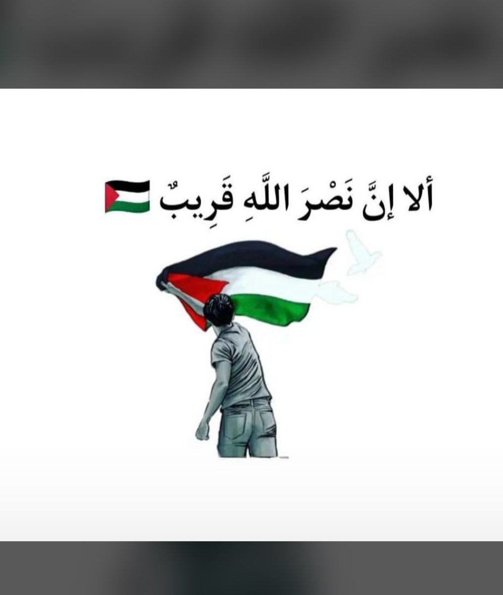 mohammad khallad (@khalladkhallad) on Twitter photo 