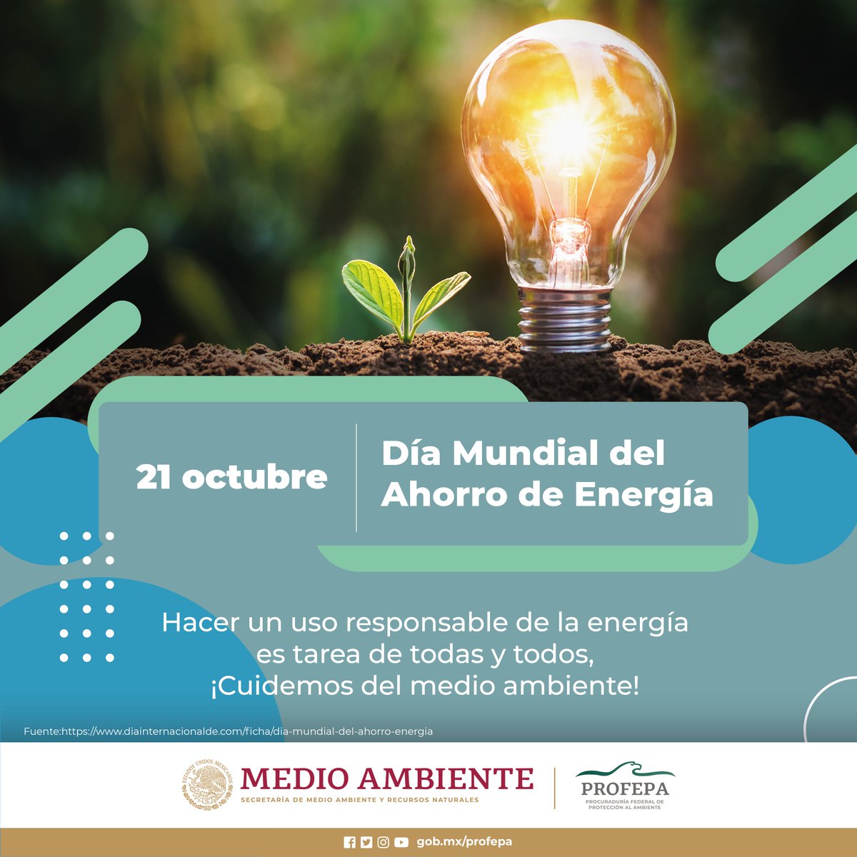 PROFEPA_Mx's tweet photo. 💡🌍Hoy celebramos el Día Mundial Del Ahorro De Energía. 

Cada pequeña acción cuenta: apaguemos luces innecesarias, optimicemos nuestros electrodomésticos y promovamos un uso responsable de la energía🔦 https://t.co/KEC1AiTHFq