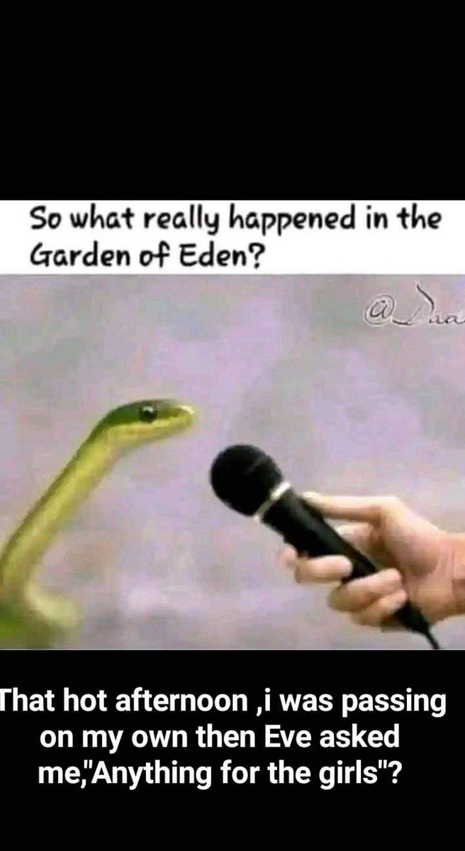 merctaurus's tweet image. People of my gender overwork just in discovering trouble 🙆🙆