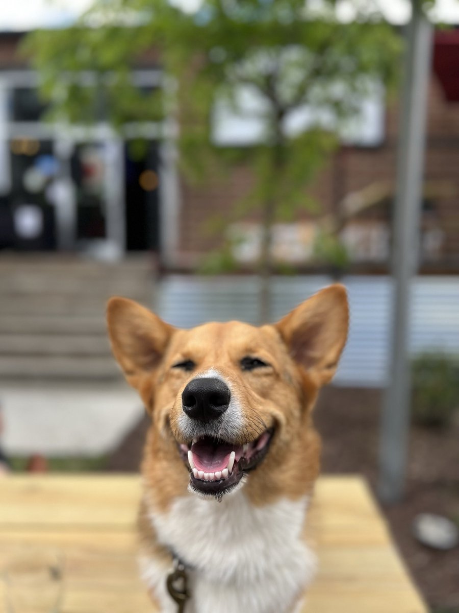 Travis Jones tweet media