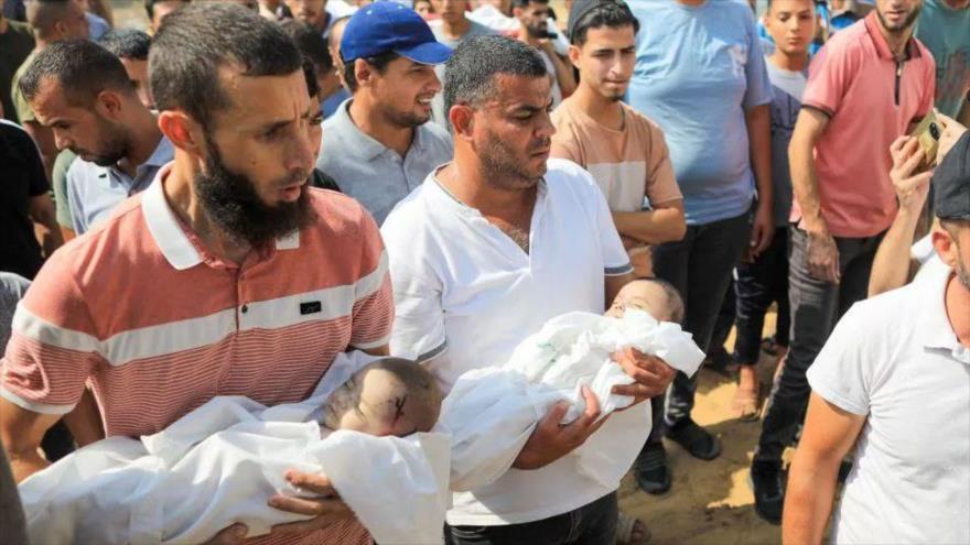 gerardotc's tweet photo. Imagen 1: Ayuso asegura que 40 bebés israelíes han sido decapitados por palestinos y culpa a Sánchez de mostrarse equidistante entre terroristas y víctimas.

Imagen 2: la periodista israleí que trabaja para un medio afín a Netanyahu y que ha dado la "exclusiva" de los bebés justificándose cuando parece que empieza a demostrarse que su historia es un bulo, propaganda de Israel: "a mí me dijeron unos militares"

Imagen 3: muerte de bebés reales provocada por lo que Ayuso llama víctimas. Desde el año 2000 se estima que entre 1.500 y 2.000 niños palestinos habrían sido asesinados por Israel.

Imagen 4: Pedro Sánchez, de manera bastante indecente, se sitúa del lado de Israel y desprecia el sufrimiento de los civiles de Palestina.

Sabíamos que Ayuso no tenía escrúpulos (pregunten en las residencias), pero ahora sabemos también que le habla, directamente y sin disimulo, a un público con inteligencia límite.
