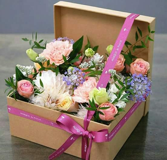 OsirisEleonor02's tweet photo. @karinalinnett https://t.co/JyOMghQmnx