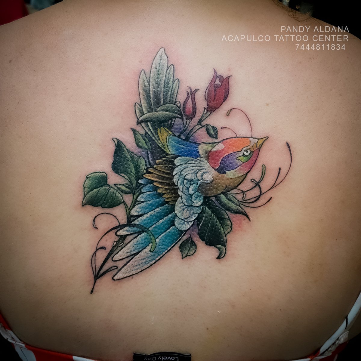AcapulcoTCenter's tweet photo. Artista: Pandy Aldana
#AcapulcoLoTieneTodo #Acapulco #tatuaje #mexico #tattoos #tattoo #Guerrero #oriental #pet #pettattoo #ave #pajaro #pajarotattoo https://t.co/gxQhqKj6q6