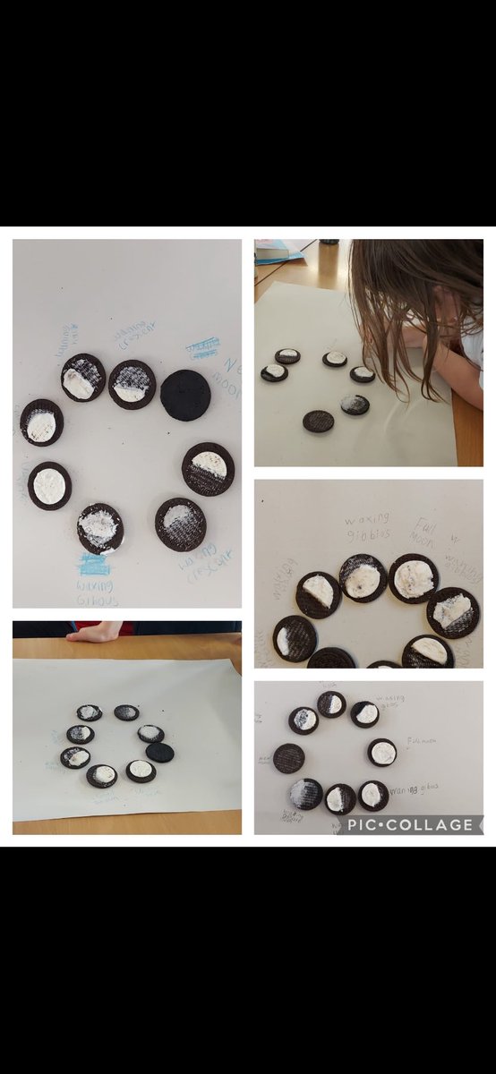 P5/6 learned about the Moon Phases using Oreo cookies...best part they managed to eat them when finished! #cookiemonsters