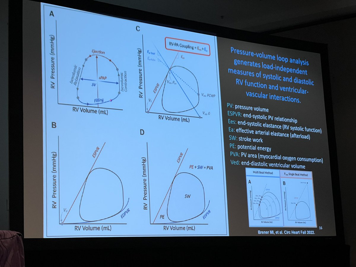 Lots of ❤️ for #thepeoplesventricle “Right heart failure: keeping the right heart right” at #CHEST2023 @accpchest RV failure and PAH enthusiasts/practitioners: if you missed it, need to watch the recorded session (this is a must!) @msiuba @MaxHockstein @AnnGageMD #ATonelli