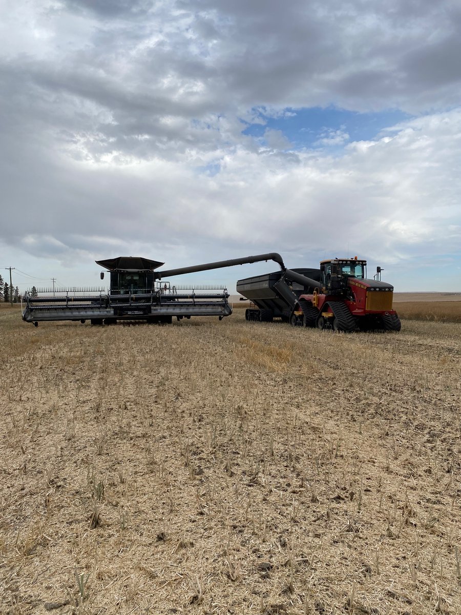 Penwest seeds canola plots are being harvested today, Thank you again to Neil Boles for all the time and effort you put into the plots.