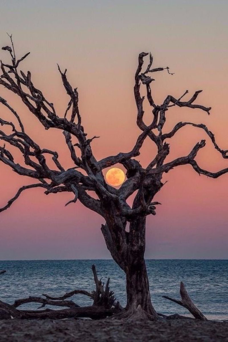Perfect full Moon capture.