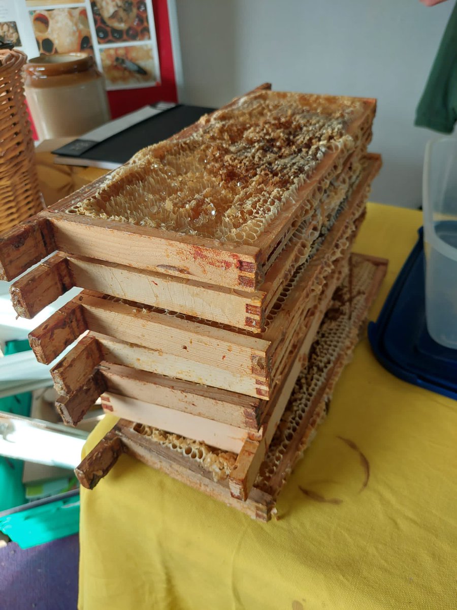 PollinatorsPark's tweet photo. It’s been a day of harvesting honey from our hives 🤗 

7 frames packed full of delicious honey, now ready for filtering &amp; jarring-up to be sold in our our pop up shop to the local community 🍯

#CommunityBeehive #Local #ParkWard https://t.co/0485ryUuDJ