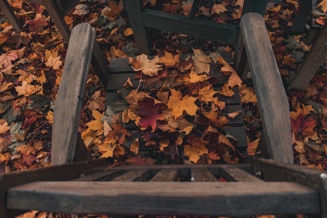 Shall I not have intelligence with the earth? Am I not partly leaves and vegetable mould myself?
- Thoreau