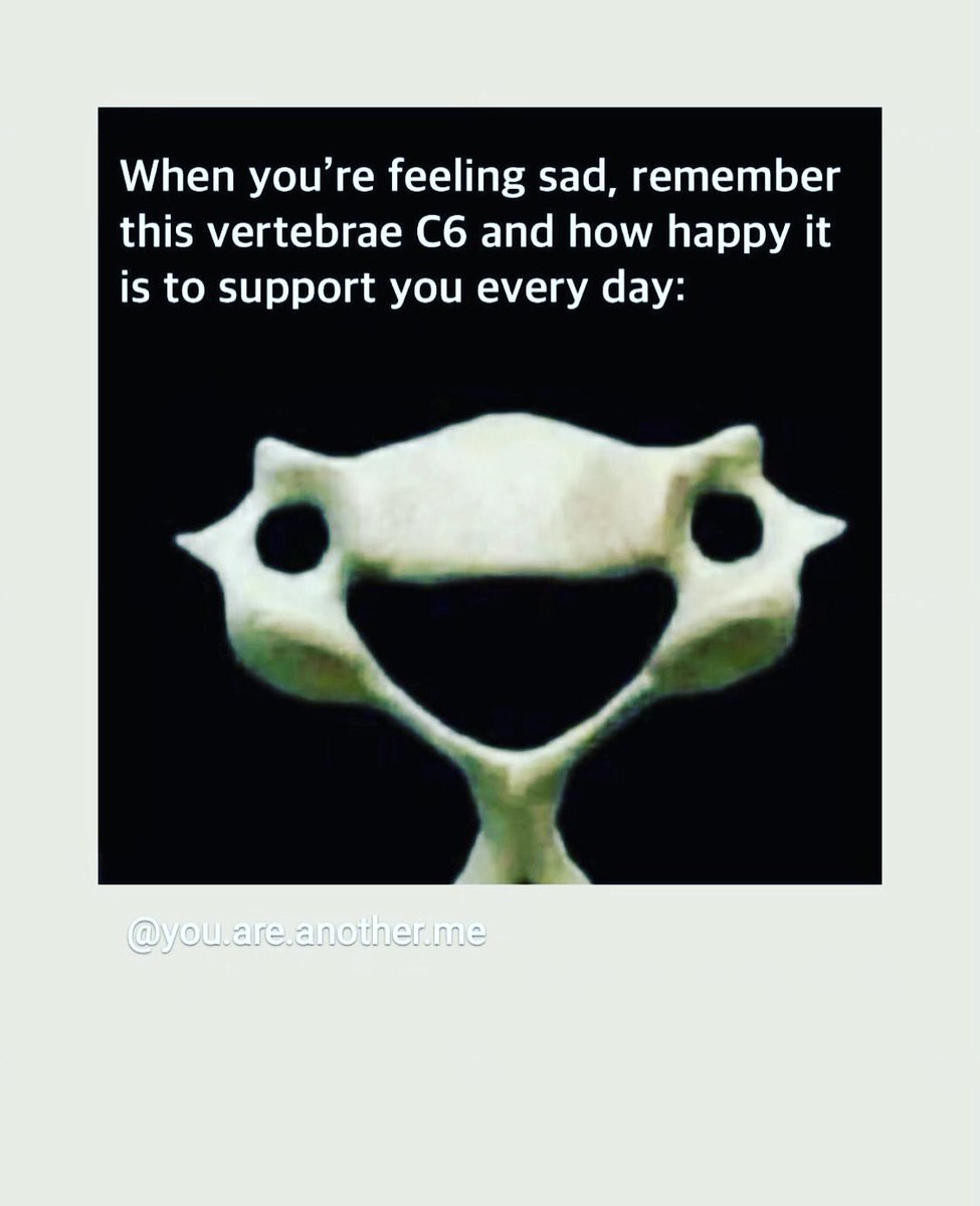 Great Opportunity to learn more from experts in Schroth, Lyon CSM, Marcotte and other Methods #PSSE #Scoliosis #scoliosisexercises #scoliosiseducation #schrothmethod #Lyonmethod #CSM #Marcotte #ARTbrace #ssolglobal