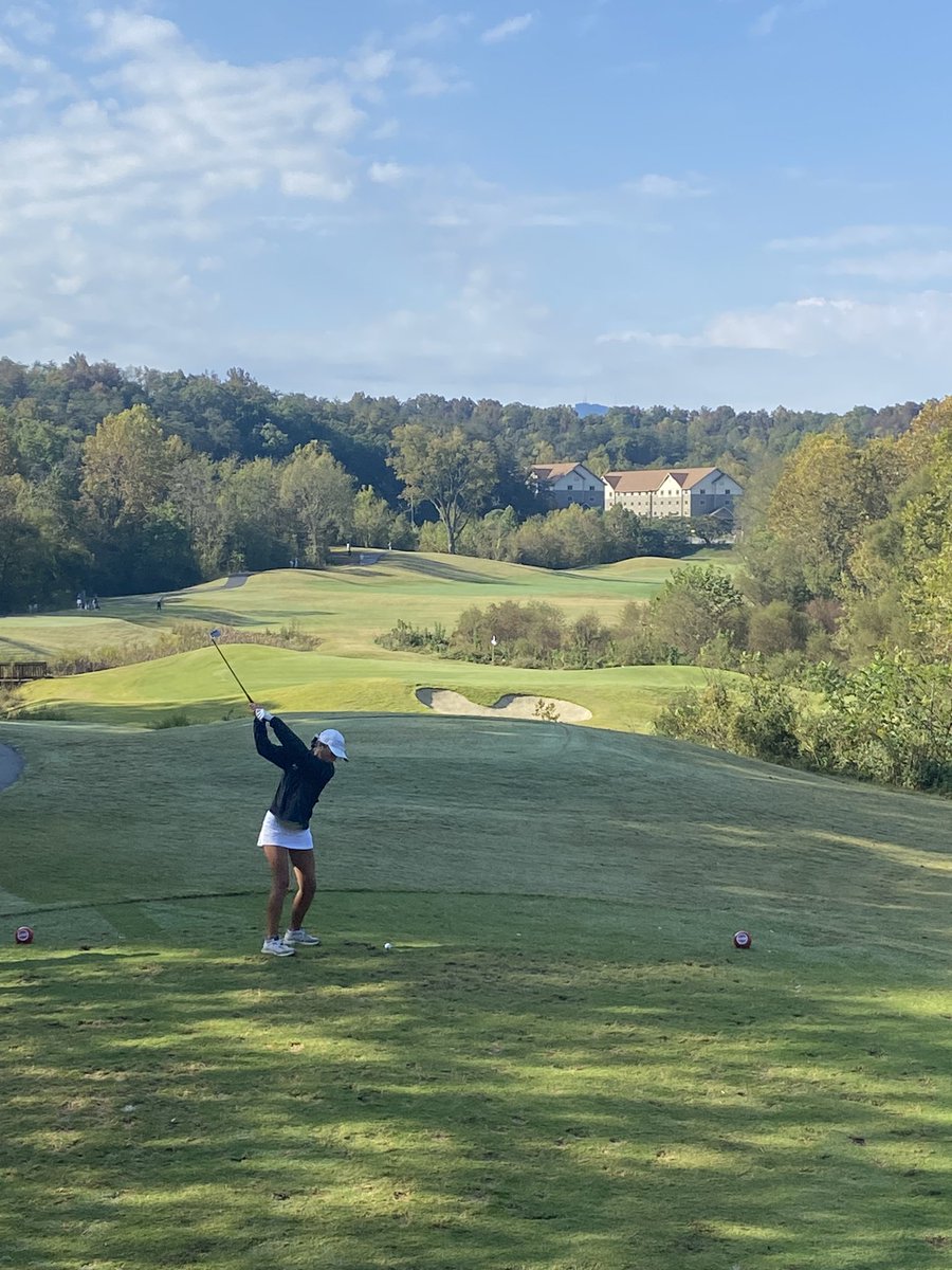 Bradley Central Bears Golf tweet media