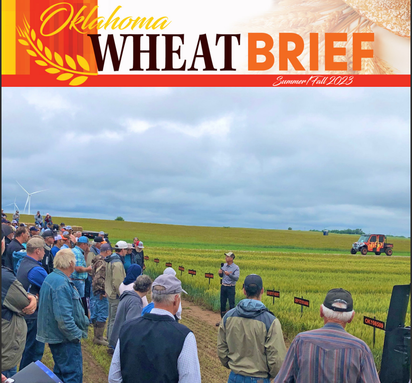 The Summer/Fall 2023 OWC newsletter was published last week. Click the link below for the newest edition of the Oklahoma Wheat Brief!
okwheat.org/wp-content/upl…