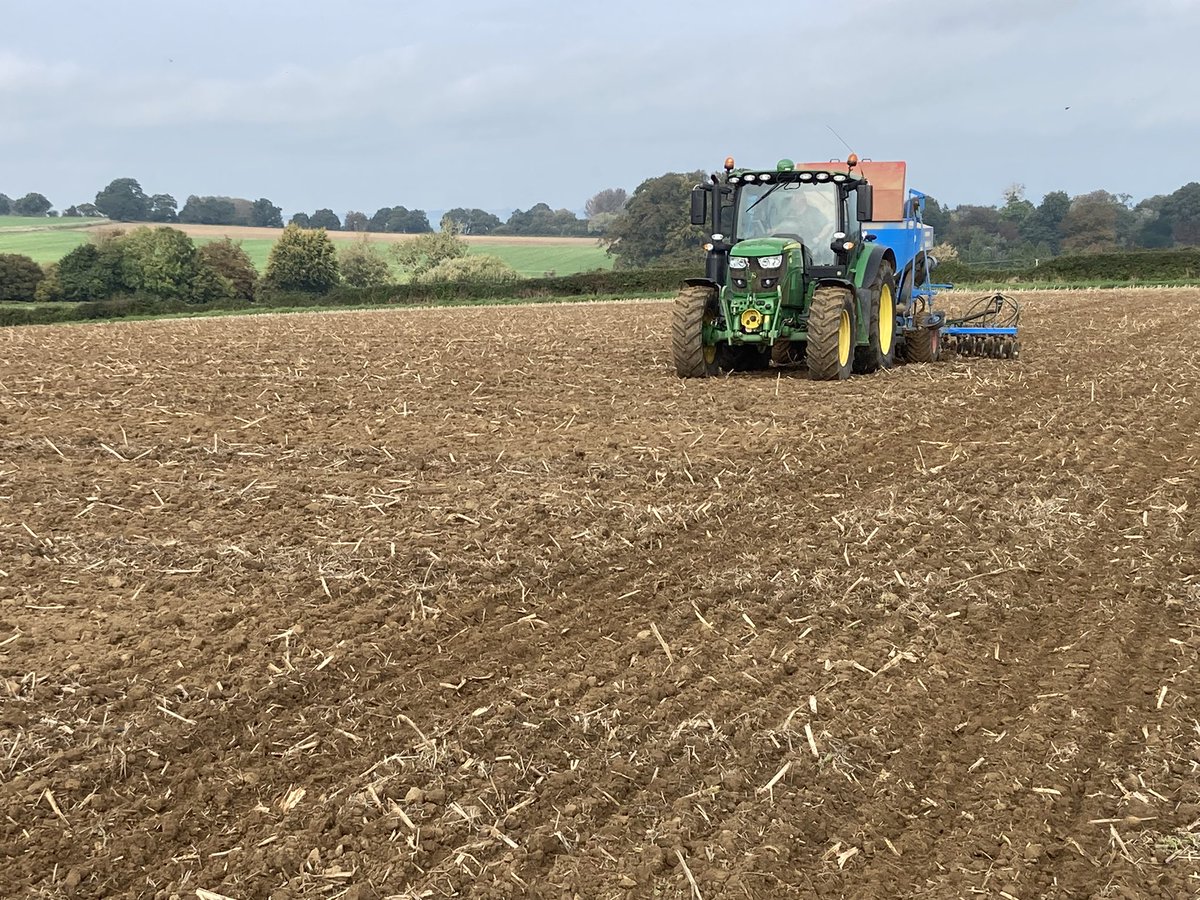 Steve Mears tweet media