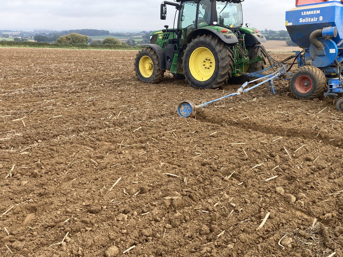 Steve Mears tweet media