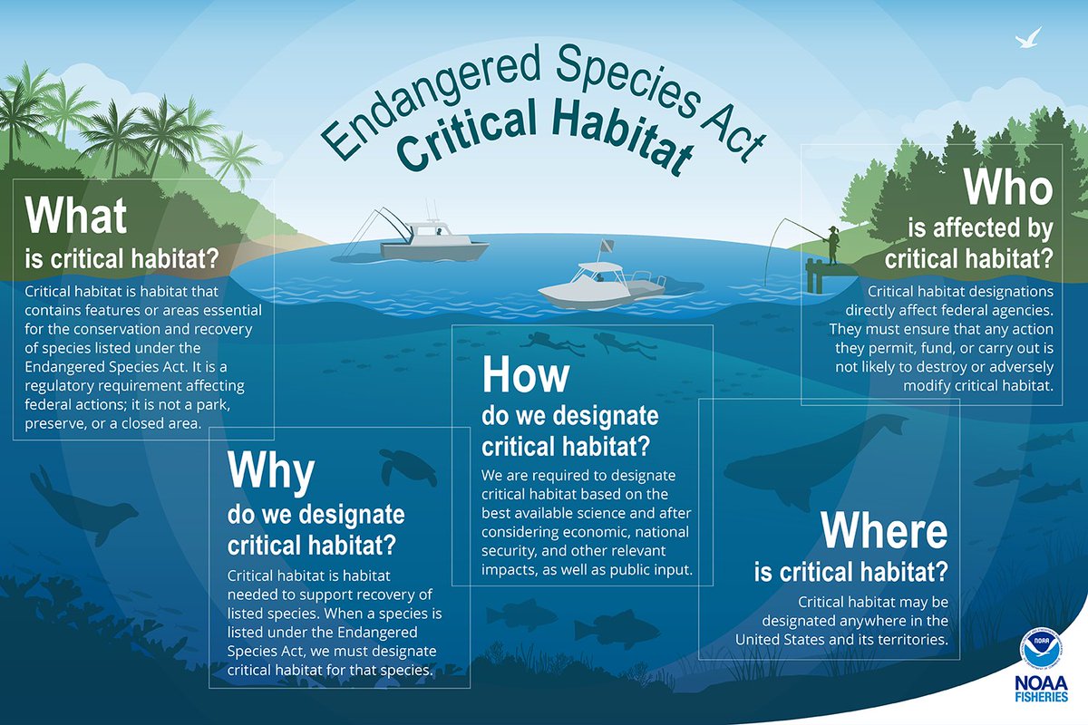 You still have a chance to be heard 📢! The comment period for the proposed critical habitat designation for green sea turtles in the Pacific closes in 1 week on 10/17. Learn more about the proposed rule and how to comment: fisheries.noaa.gov/action/propose… #criticalhabitat #TurtleTuesday