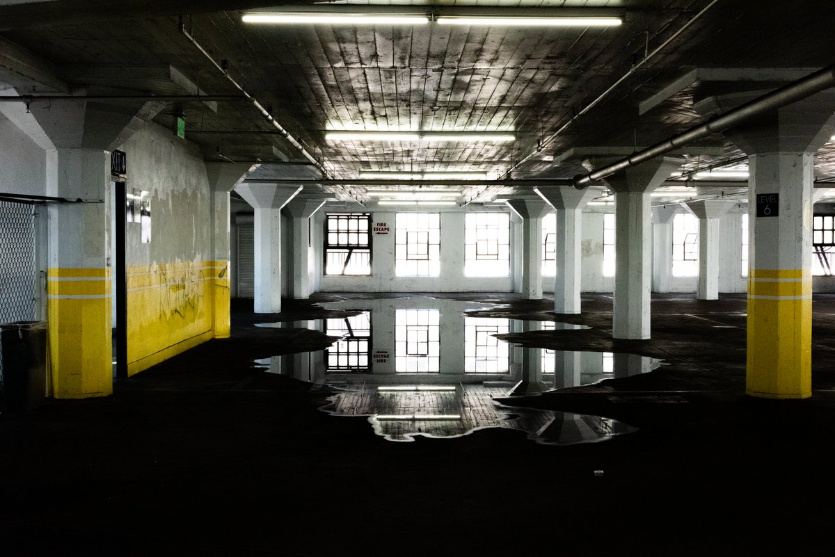 Elliott Grogan 📸 tweet media