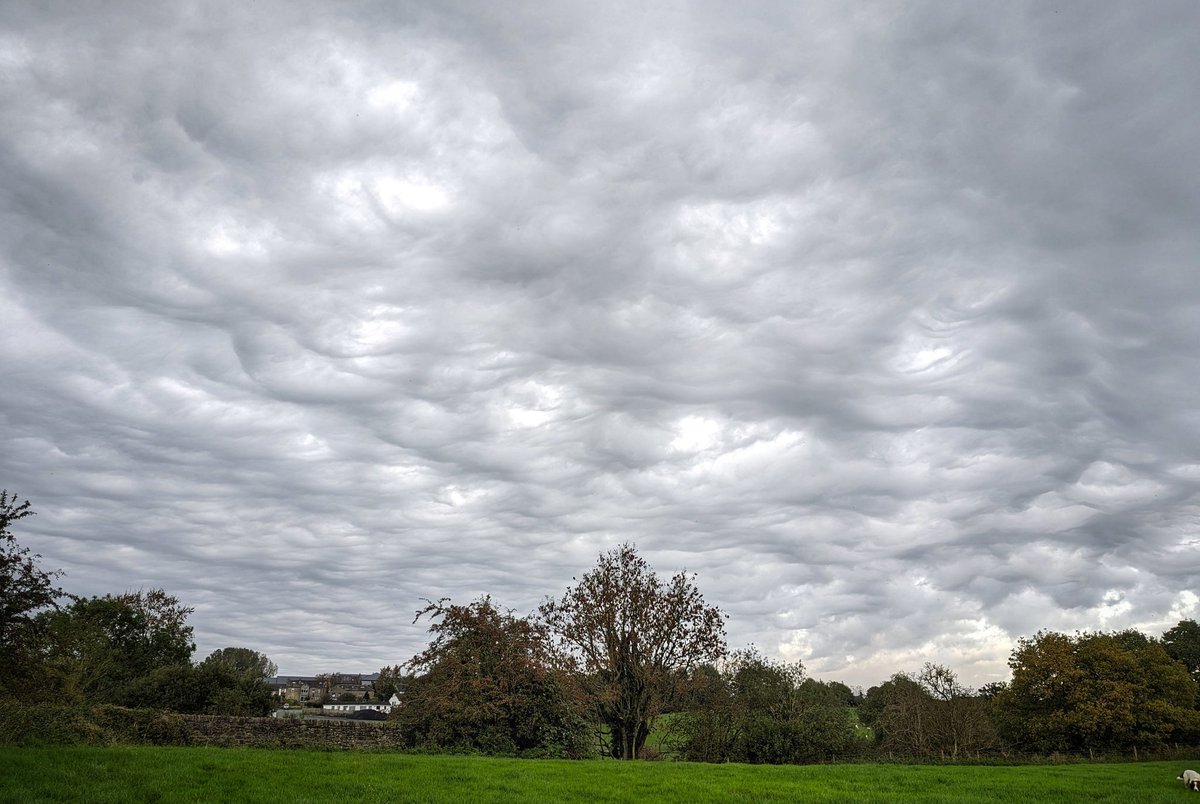 MartinDearden's tweet photo. Any cloud buffs out there can tell me what these bobbly formations are called? Footage looks pretty mint on the @Inglebo_webcam today 👍 https://t.co/od4IW0yXgz