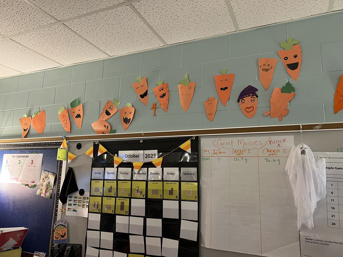 Creepy Carrots! #IYKYK Love that we are combining our science learning and math!