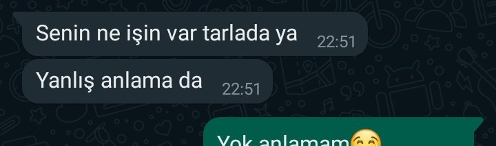 merall12__'s tweet photo. Amcam utanır mı, sanmam https://t.co/RTAUO4kSiD