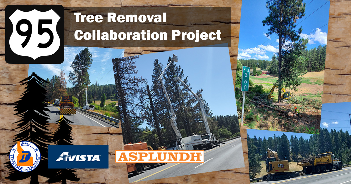 IdahoITD's tweet image. Tree removal can be necessary to avoid shutting down a major power infrastructure. This project removed 30 large trees on US-95 near Moscow that were tightly growing into each other, getting into the main high-voltage line or leaning over the roadway.  #Avista #Asplundh