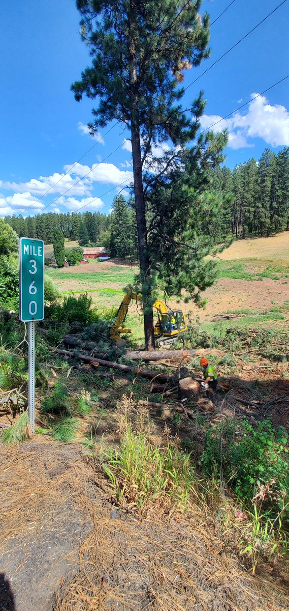 IdahoITD's tweet image. Tree removal can be necessary to avoid shutting down a major power infrastructure. This project removed 30 large trees on US-95 near Moscow that were tightly growing into each other, getting into the main high-voltage line or leaning over the roadway.  #Avista #Asplundh