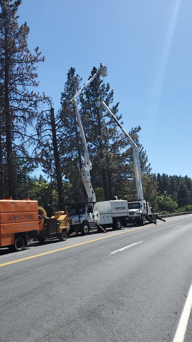 IdahoITD's tweet image. Tree removal can be necessary to avoid shutting down a major power infrastructure. This project removed 30 large trees on US-95 near Moscow that were tightly growing into each other, getting into the main high-voltage line or leaning over the roadway.  #Avista #Asplundh