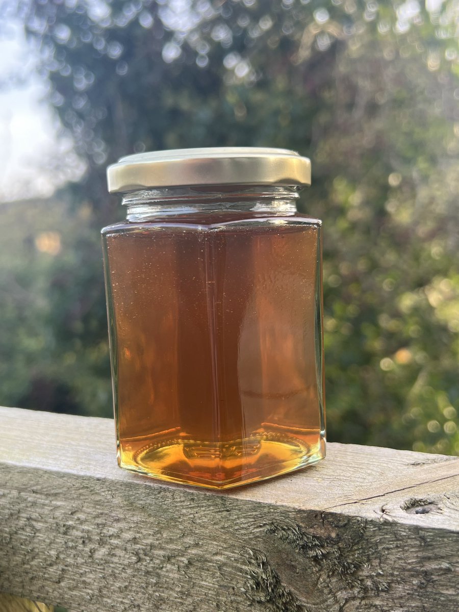 TylaGlasBees's tweet photo. Our amazing Autumn honey is finally in jars (well some of it is) and ready for sale.

https://t.co/kkb42fQ9jX

#honey #natural #honey #naturalhoney #naturalhoney🍯 #beekeepinguk #beekeeperslife #beekeepinglife #bees #welshbees #autumnhoney #AutumnHoney https://t.co/yrO5RDVUe7