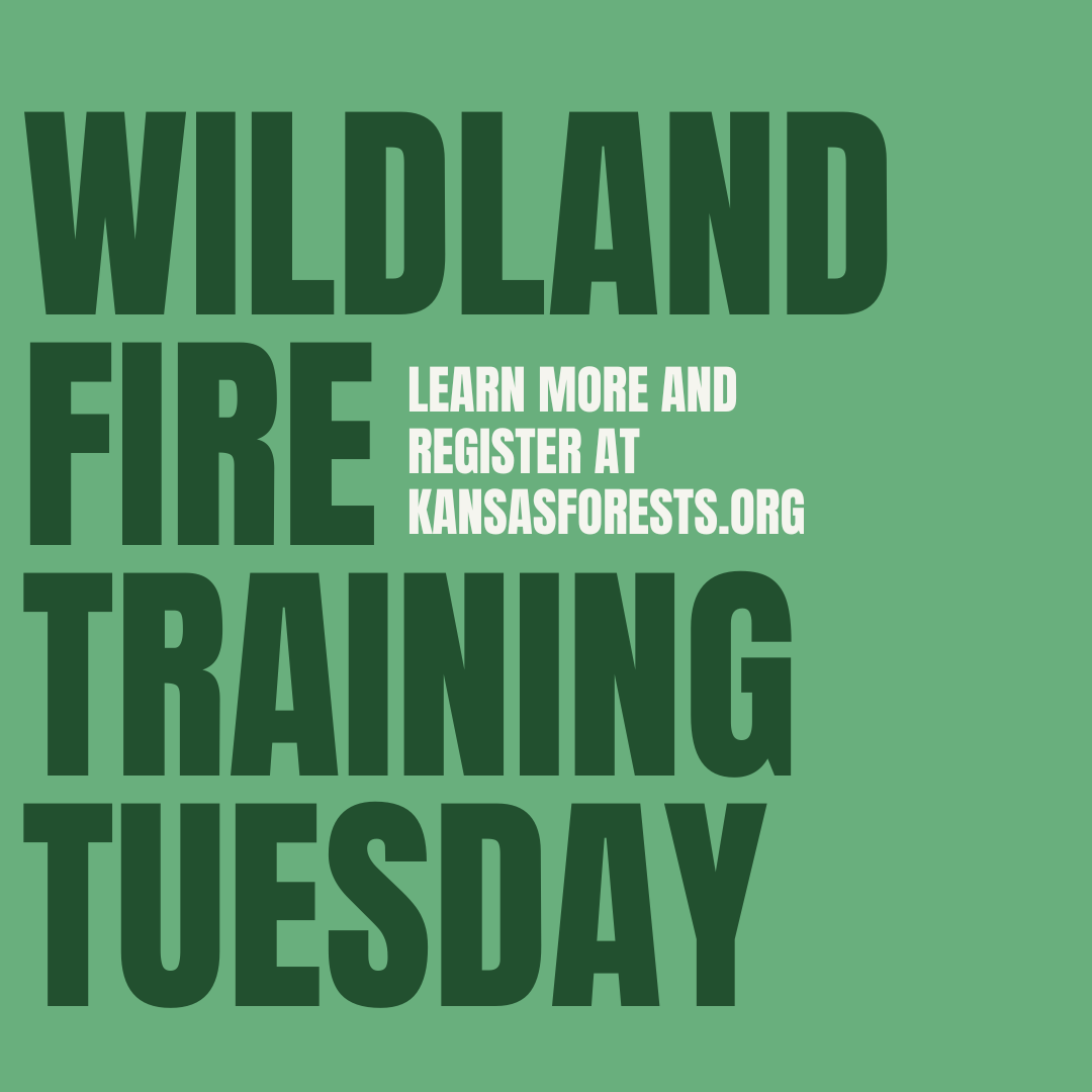 KSForestService's tweet photo. This fall, we have several S130/190 Field Days, an Intermediate Wildland Fire Behavior (S-290) course,  Wildland Chainsaw courses and more! Check out our event page to learn about these incredible training opportunities. https://t.co/W7nL1MbZtf https://t.co/sgLjwRu1GI