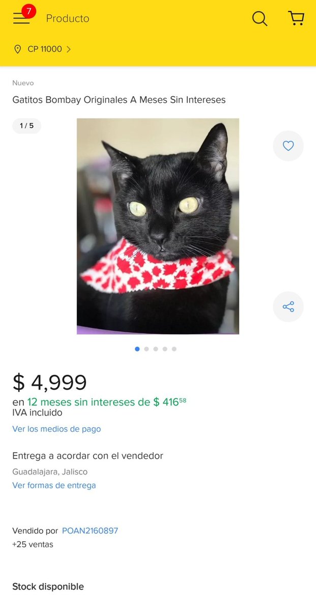 no, por pelón tweet media