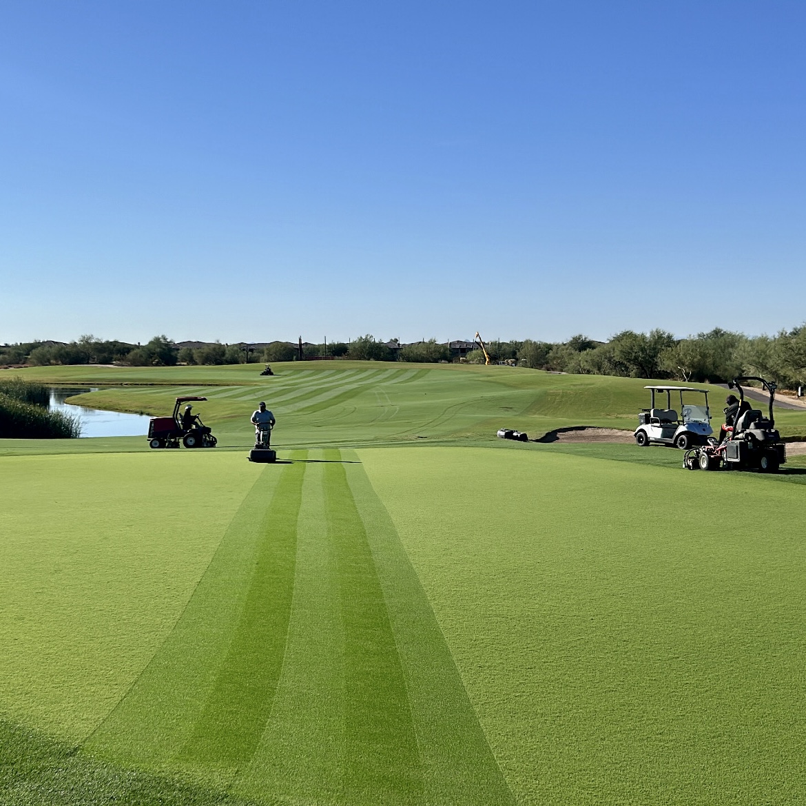 DVRGolf's tweet photo. This Thursday, Dove Valley Ranch Golf Club is BACK! 🏌️‍♂️✨ There's NOTHING better than that first mow after overseeding🚜✂️ Join us for the grand reopening and have front-row seats to the ultimate STRIPESHOW. https://t.co/jmDFpeT4iJ
