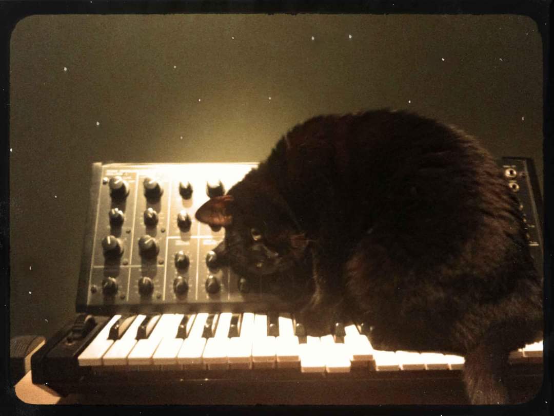 The legends say that every black cat goes to space with a MeowS-20. 🖤
CC. @synthfluencer
