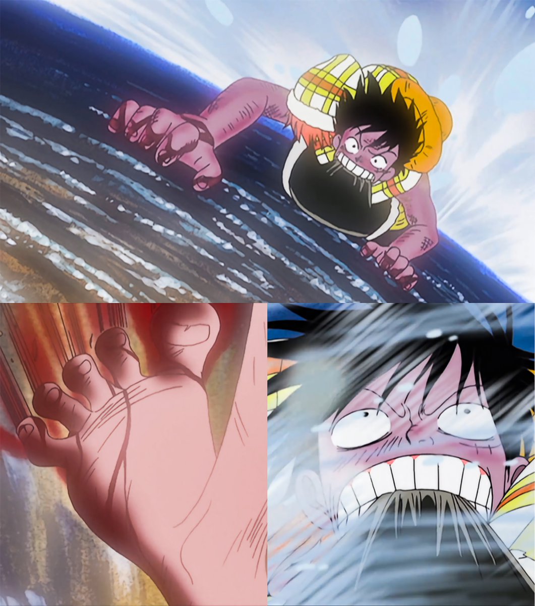 One Piece Daily tweet media