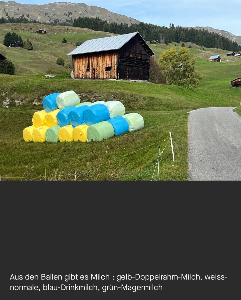 Markus_Strauss_'s tweet photo. #swissmilk , aus welchen Futterballen gibt es welche #Milch Sorten vom #Schweizer #Bauer https://t.co/3fGXzmYIc7