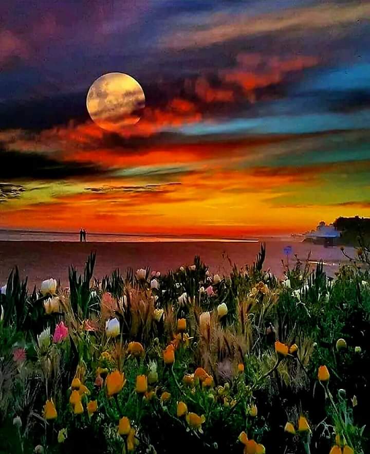 🔴CALM NIGHT 🔴⚪🔴
#naturelovers #nature #NatureBeauty