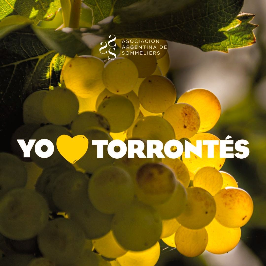 En esta semana, celebramos a la uva torrontés como una expresión única de la diversidad y riqueza vitivinícola de Argentina que merece un lugar destacado en el escenario internacional. ¡Y, por supuesto, brindamos por ella! 🙌

#SemanaDelTorrontes #ElVinoNosUne