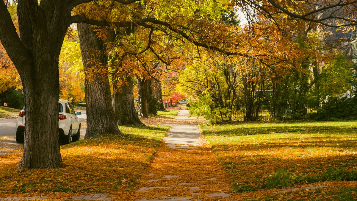 Do you look forward to changing leaves as much as you do the return of pumpkin spice? 🍂 So do we! Capture the breathtaking beauty of fall and share it on social with us using #MileHighAutumn for a chance to win.

For details on how to enter, visit: beasmartash.org/milehighautumn/