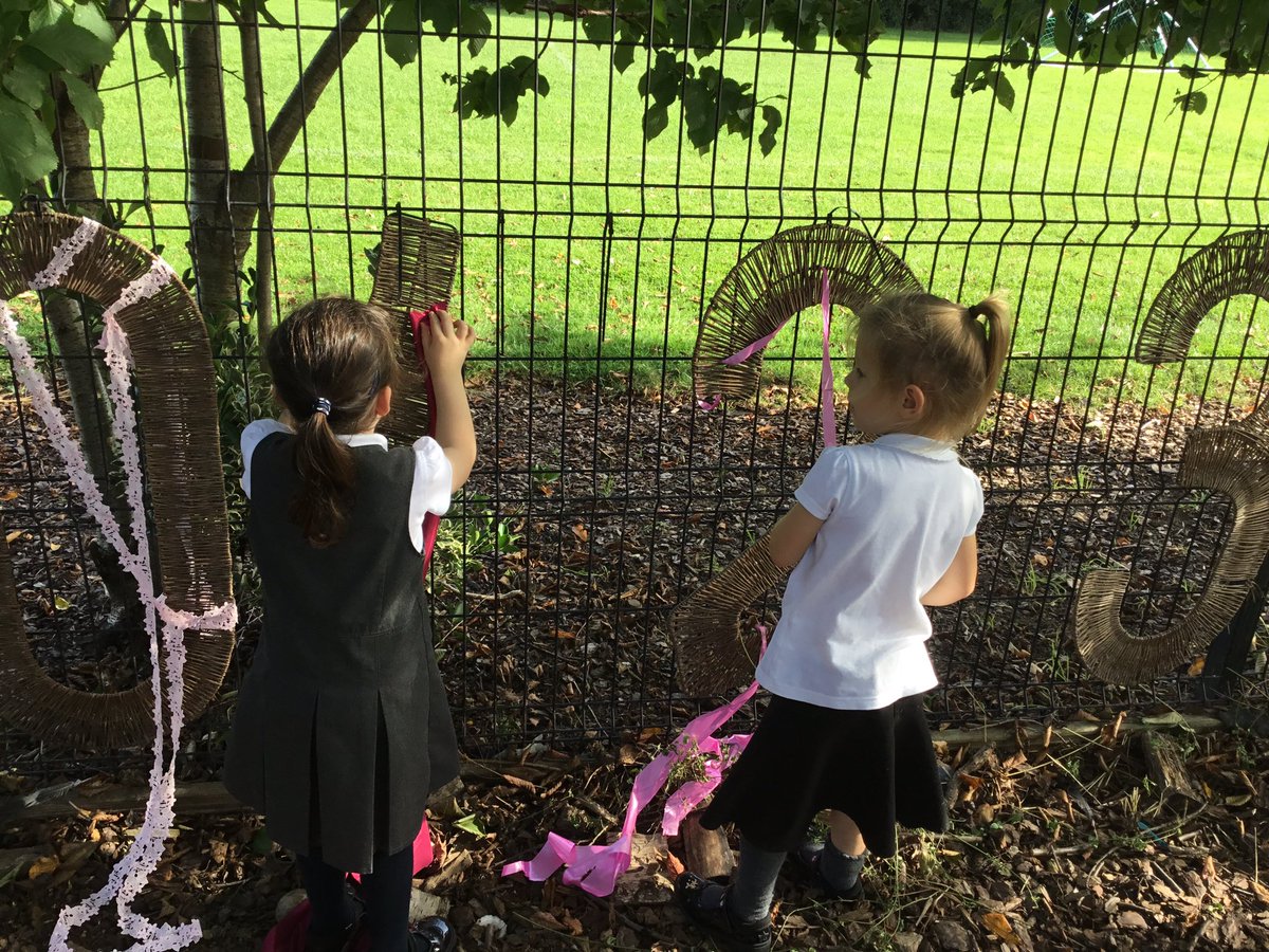 Wyberton Hedgehogs tweet media