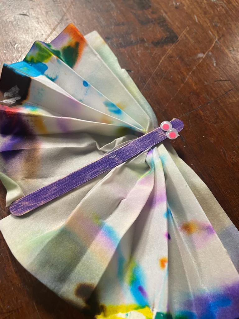 ScienceMalone's tweet image. Great fun making Chromatography butterflies in science club @MaloneCollege