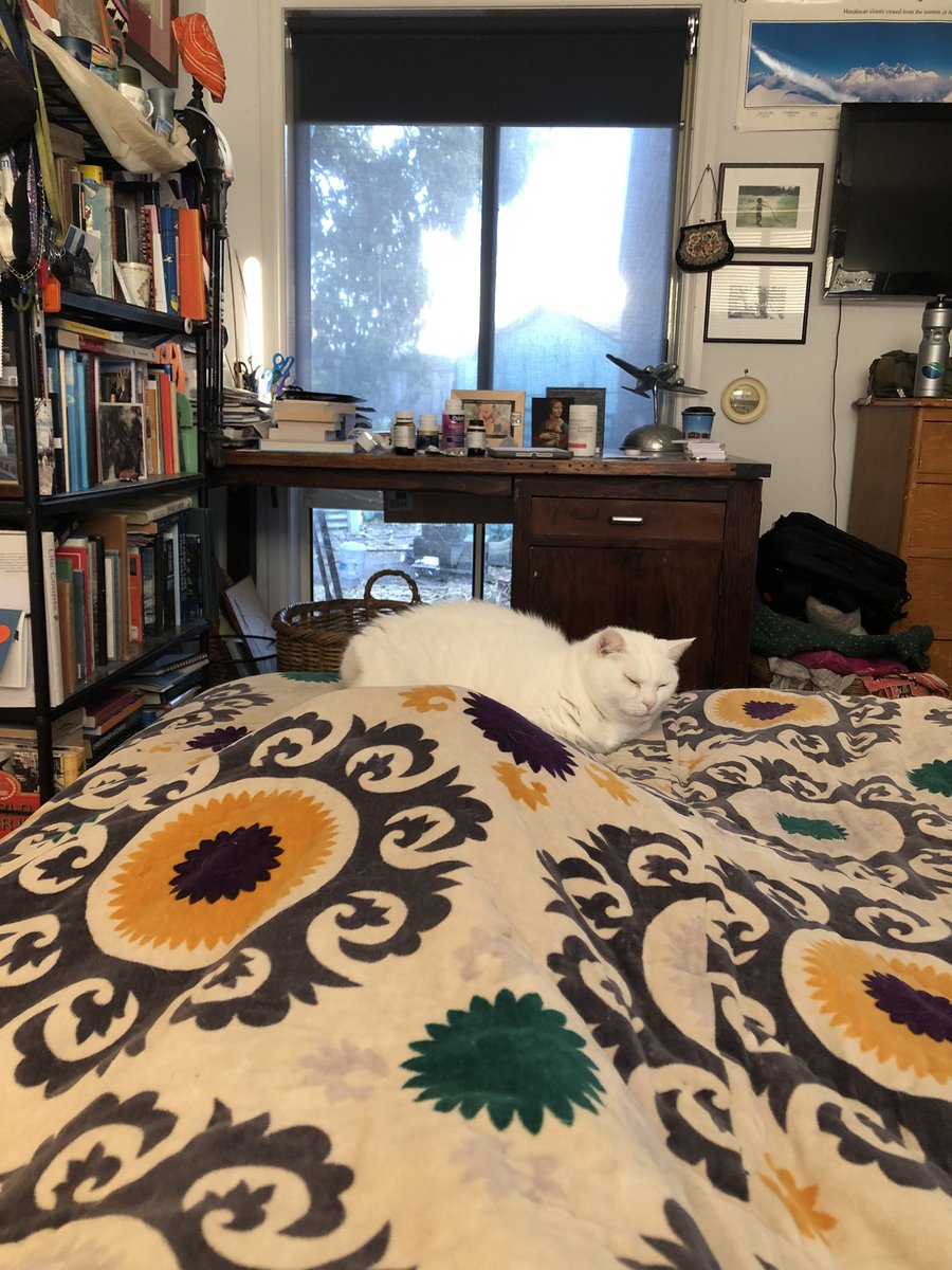 ToryMcCaffrey's tweet photo. Not ‘working’ today. https://t.co/bf0wAObEFg