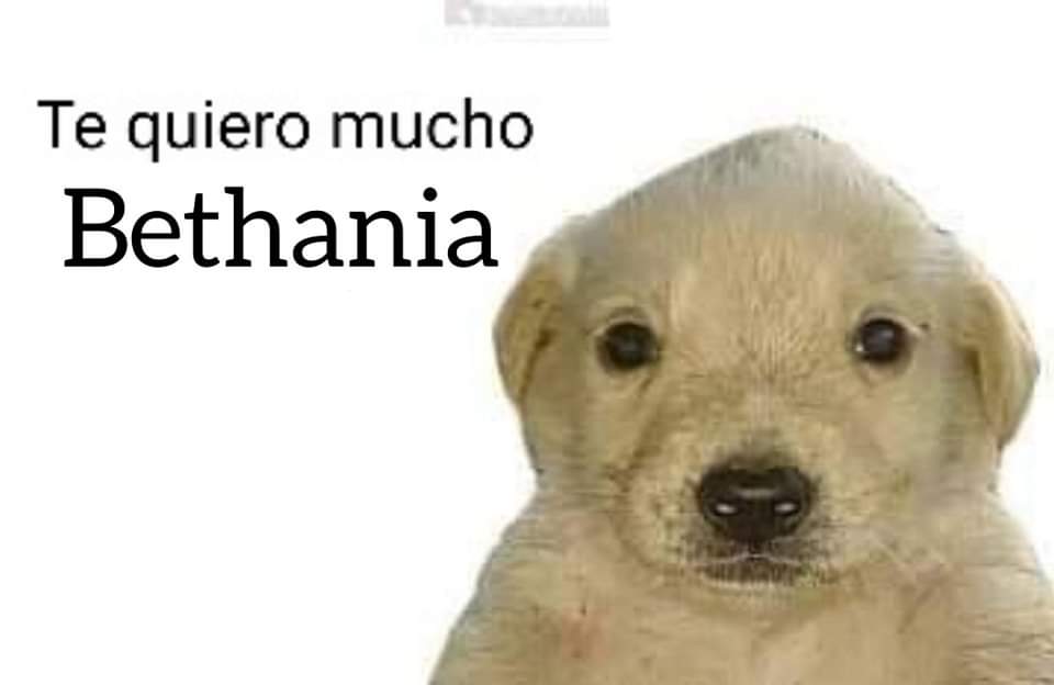 Manu208970412's tweet photo. @PlazaPublicaGT 🫡 https://t.co/WOxPthZ4yX