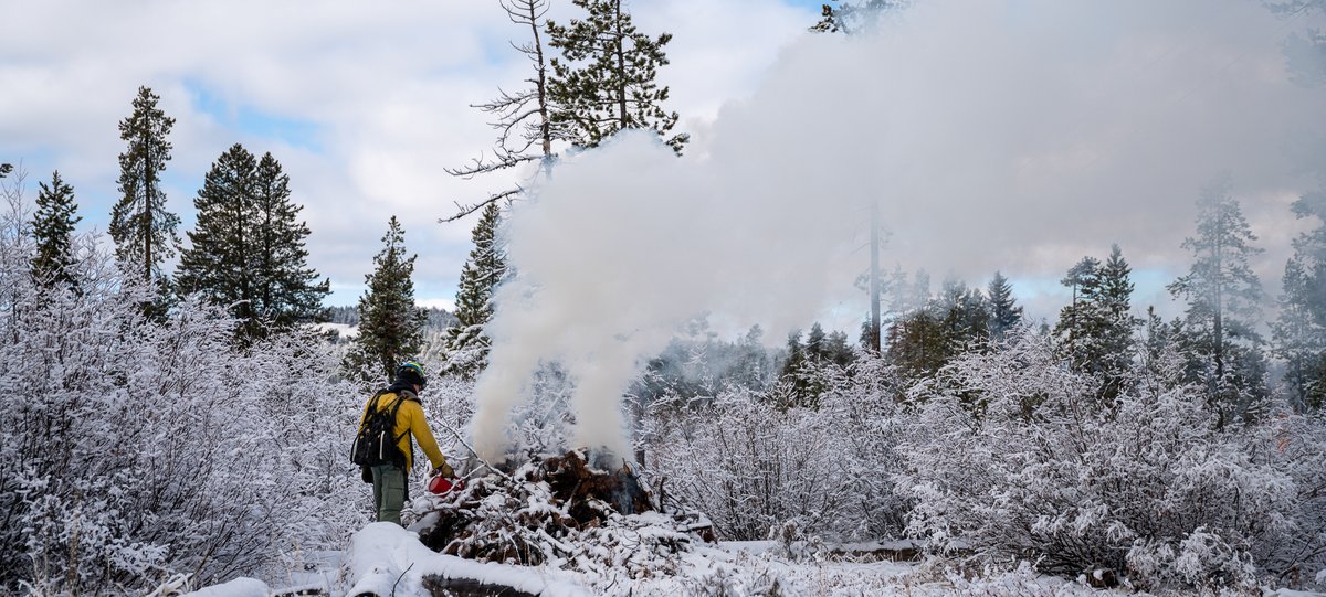 Teton Interagency Fire personnel will burn slash piles created from fuel reduction projects in Grand Teton in the coming weeks. Firefighters have focused on fuel reduction efforts in developed areas to reduce wildfire risk. Continue reading at go.nps.gov/1wufji
