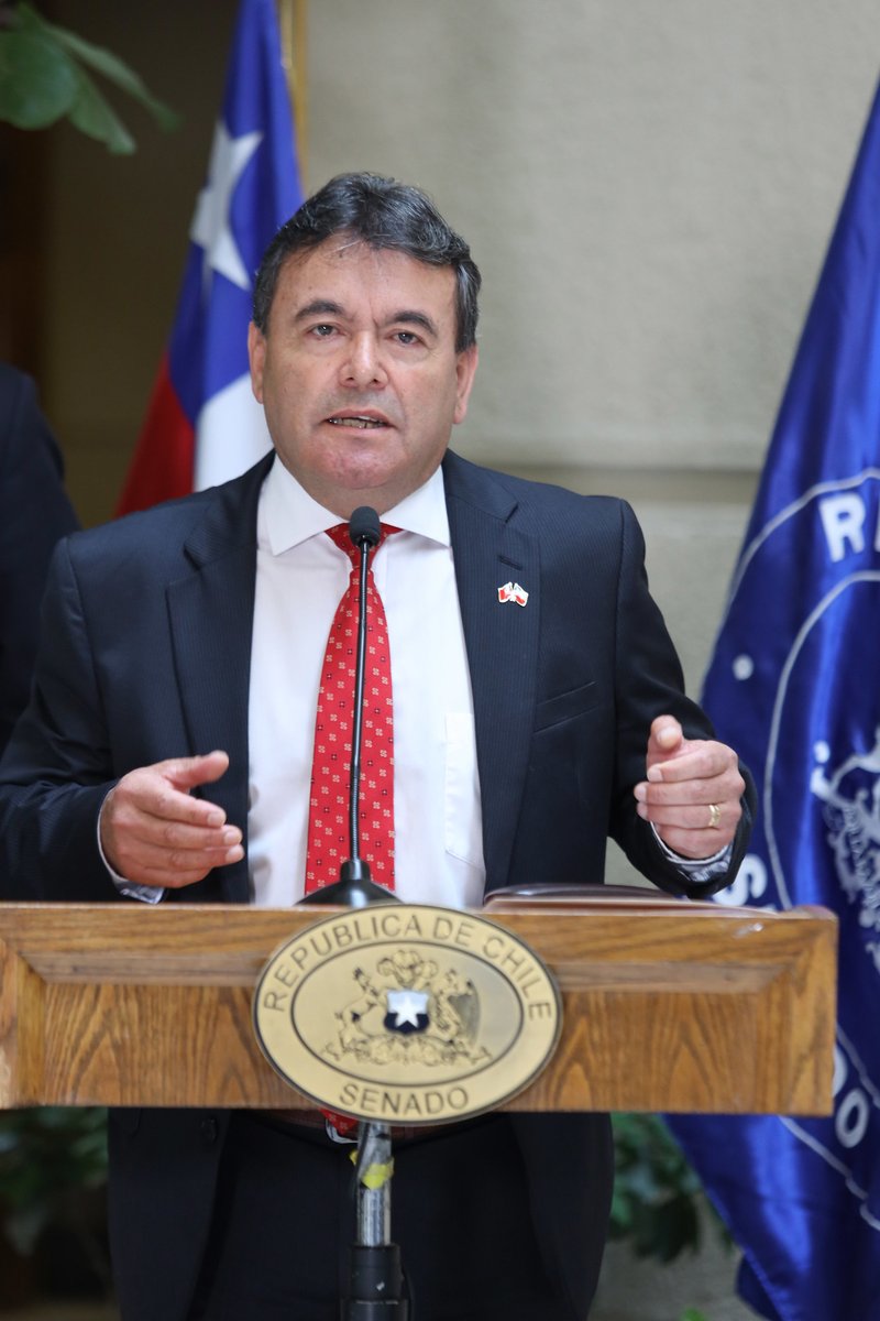 Angolinos.cl tweet media