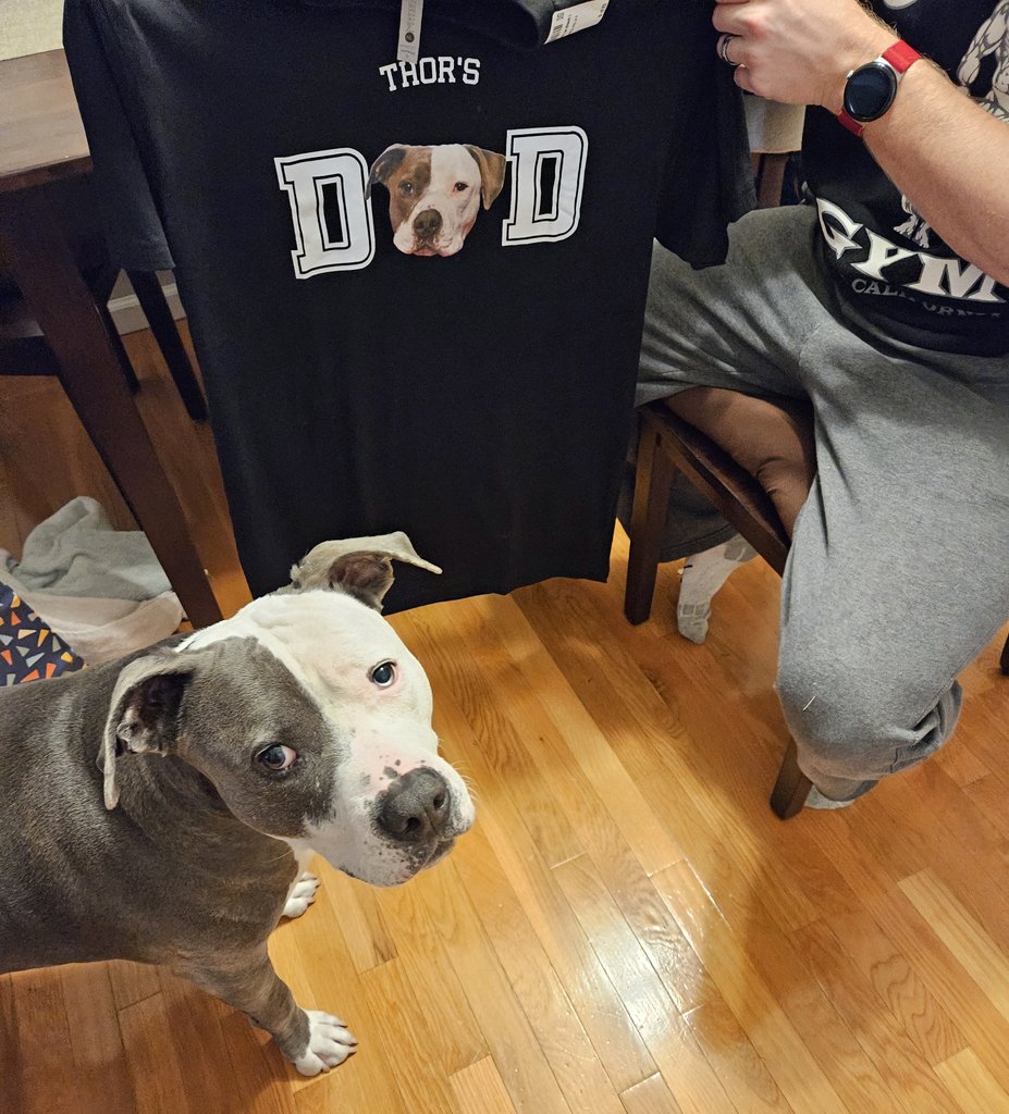 Thor the All American Bully tweet media