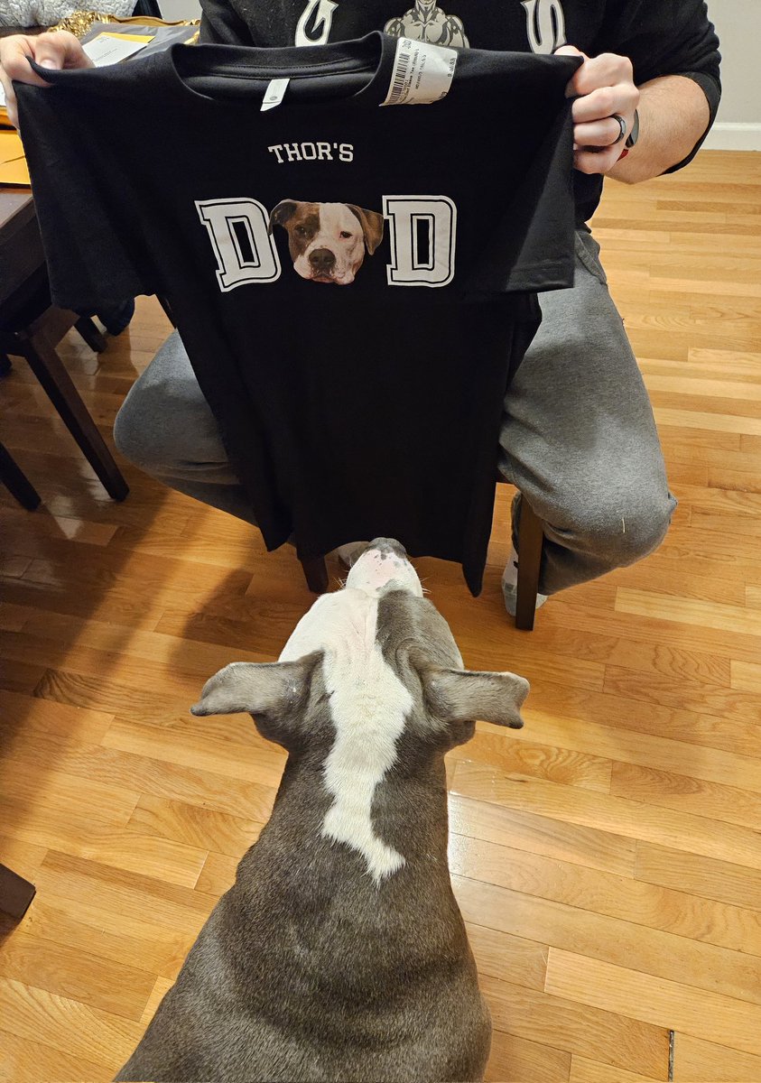 Thor the All American Bully tweet media
