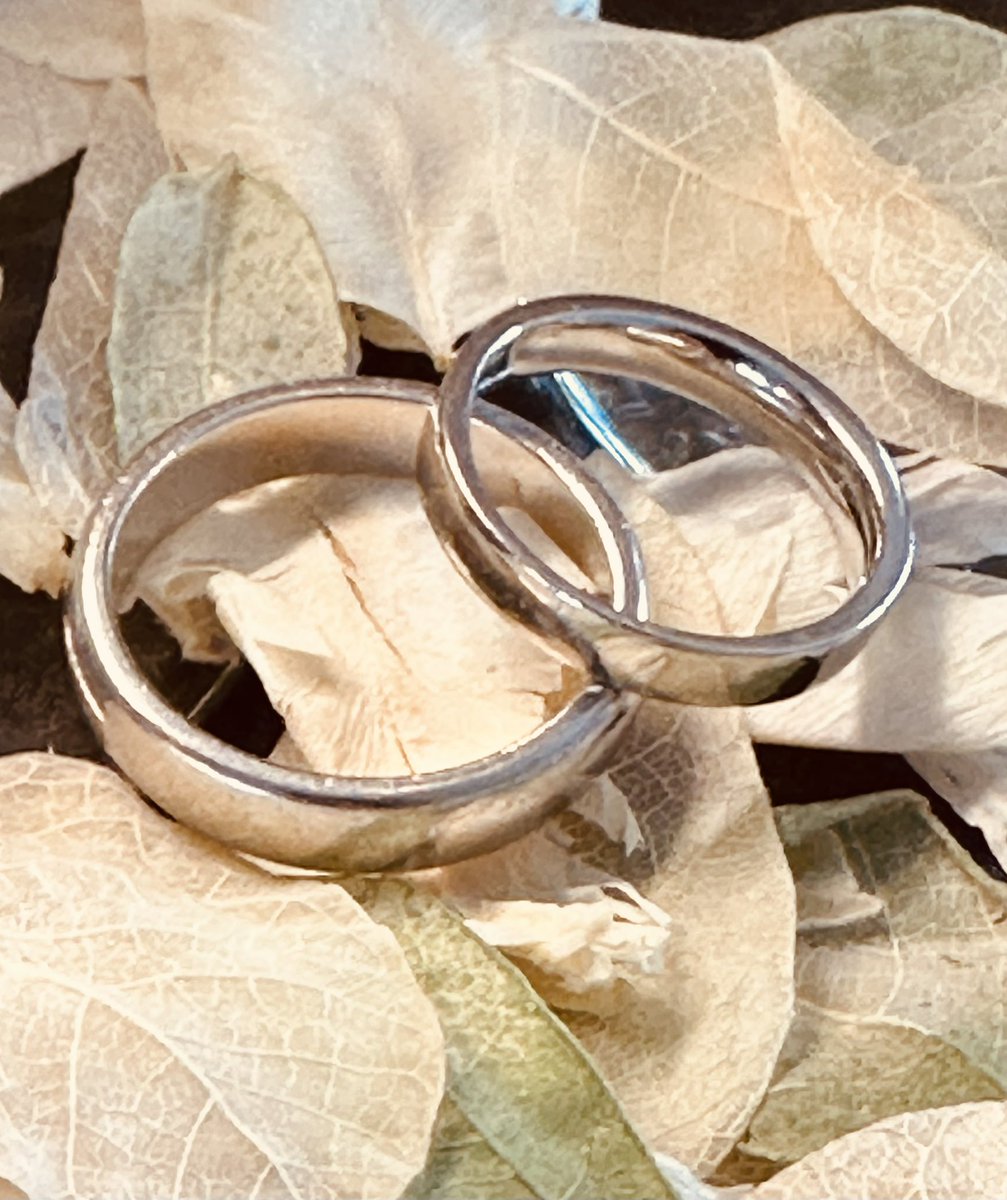 Hael Farm Cottages tweet media