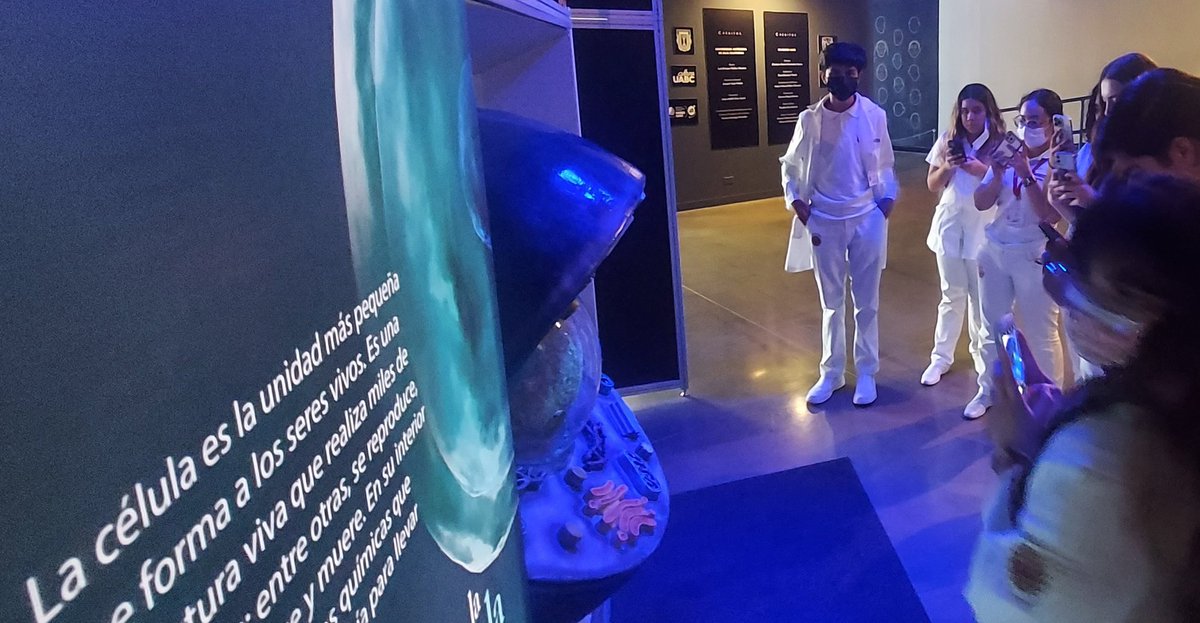 SociologistaNo1's tweet photo. Sigue la UX Mxl en el @iicmuseouabc ♡ con alumnoa de #1C #Medicina20232 en #dimetusgenesytedirequieneres 🧠📚🔎 https://t.co/jafd8M4HUD