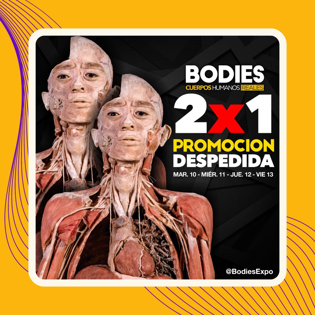 ¿Ya conoces la exposición más grande creada para la exploración del cuerpo humano? ¡Corre a verla al Centro Comercial Antea, en Querétaro! Son sus últimos días 👣