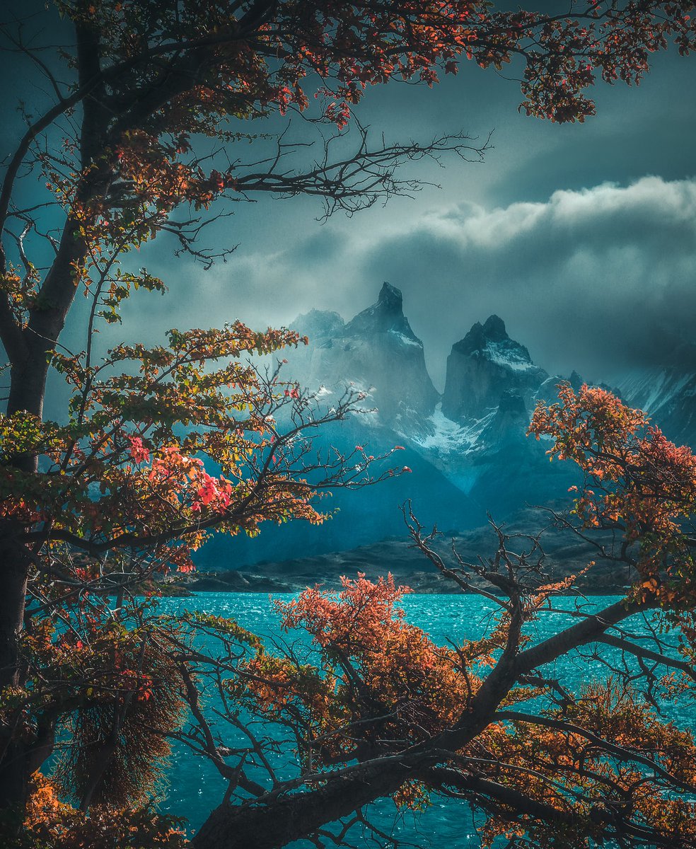 TheSapiensWorld's tweet photo. #Nature : Some photos of #autumn.🍂

1- Torres del Paine, Patagonia, Chile 🇨🇱
2- Dolomites, Italy 🇮🇹
3- London, United Kingdom 🇬🇧
4- North Wales, United Kingdom 🇬🇧

#Earth #Fall #Earth #Leaves #October
#Flora #Colours https://t.co/5TeO5CvsVp