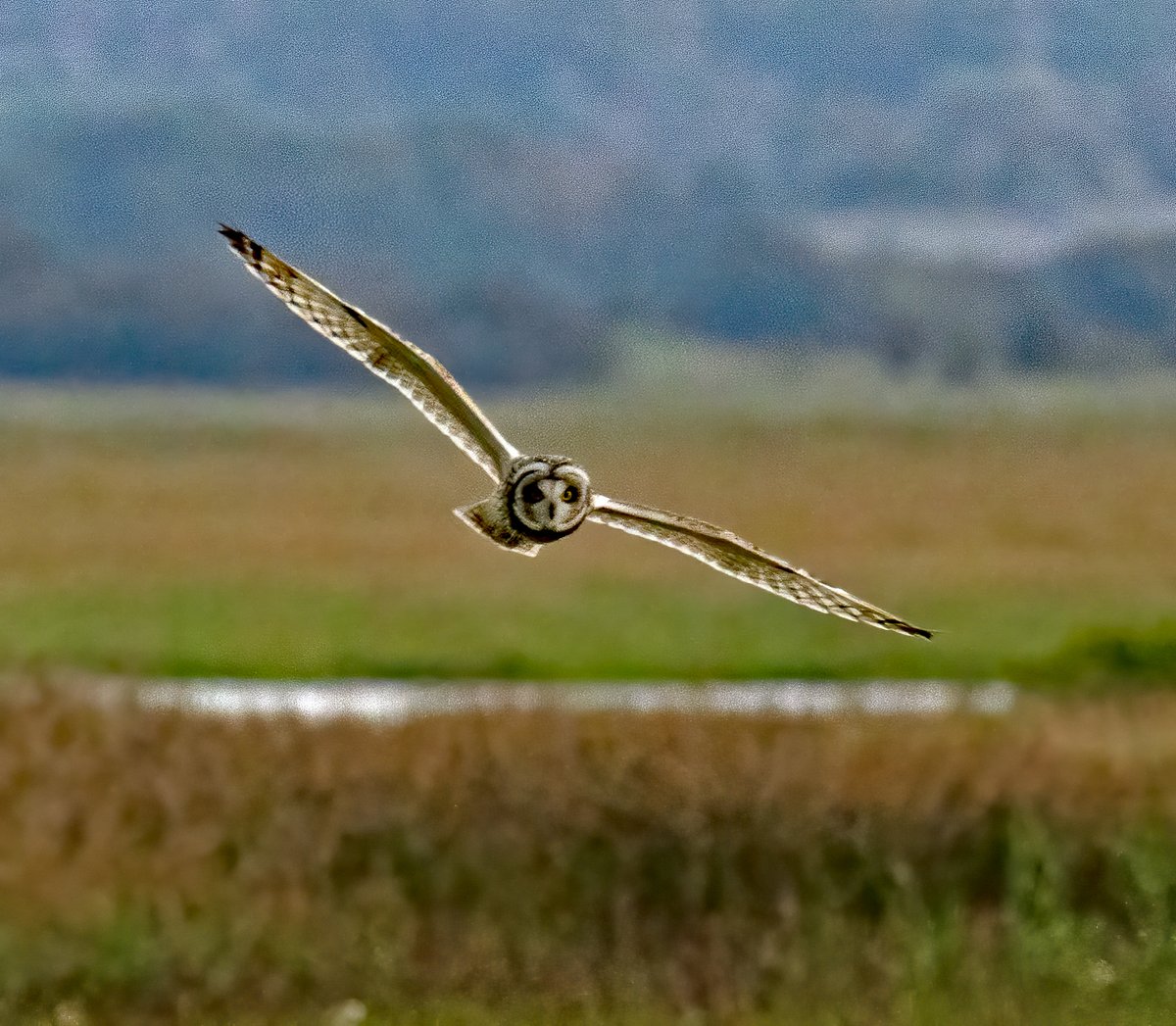 Frank G Burns tweet media